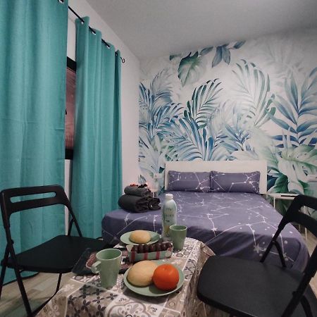 Habitacion Cactus, Entrada Privada Y Bano Privado En Suite By Flamingo House, No Fumadores Арресифе Экстерьер фото